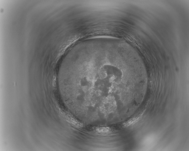 X0000060260355200511010919