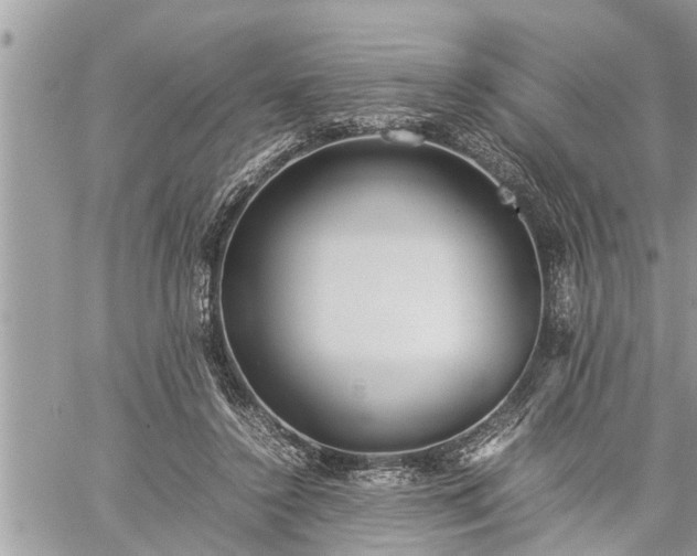 X0000060260356200511010919