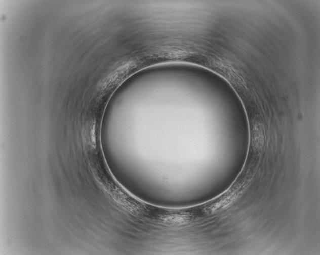 X0000060260358200511010919