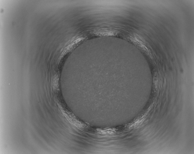 X0000060260359200511010919