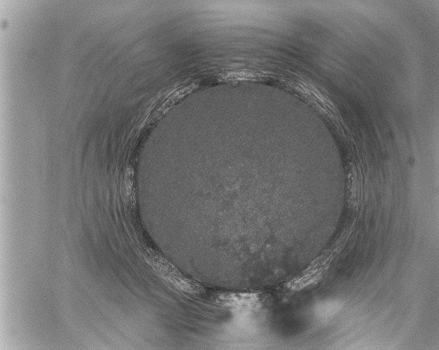 X0000060260361200511010919