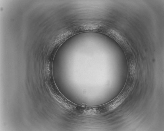 X0000060260362200511010919