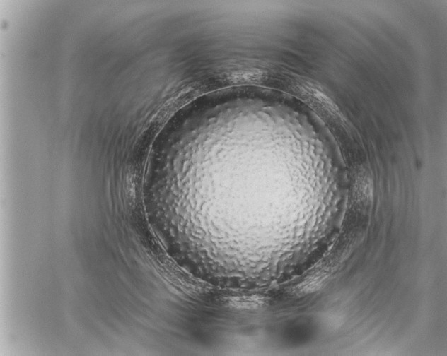 X0000060260363200511010919