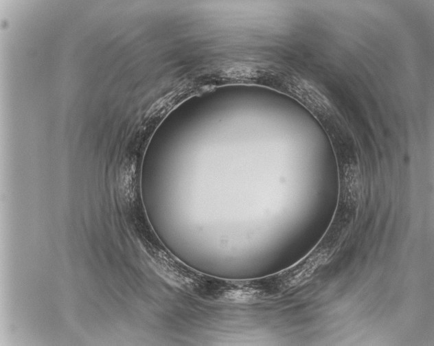 X0000060260364200511010919