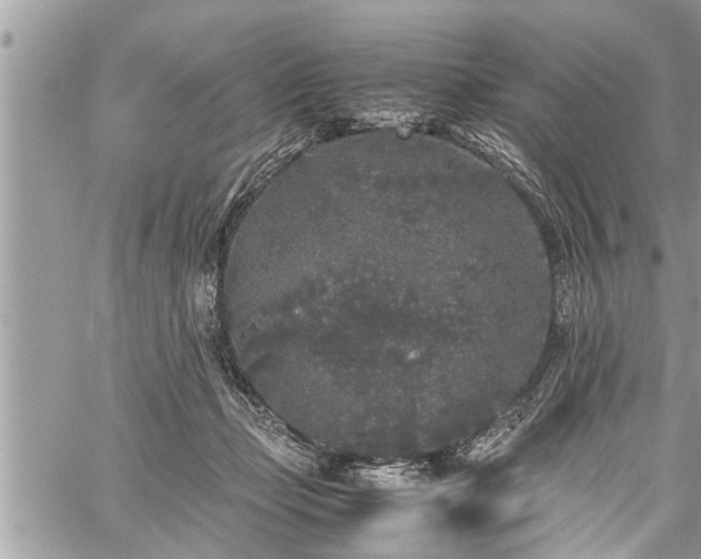 X0000060260365200511010919