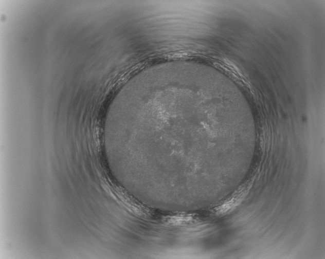 X0000060260366200511010919