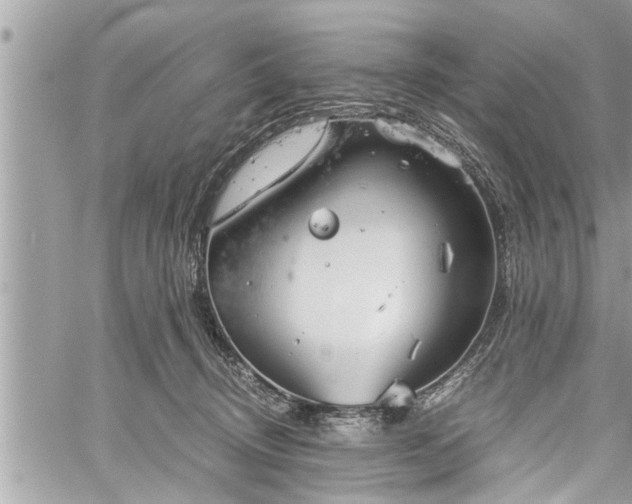 X0000060260370200511010919