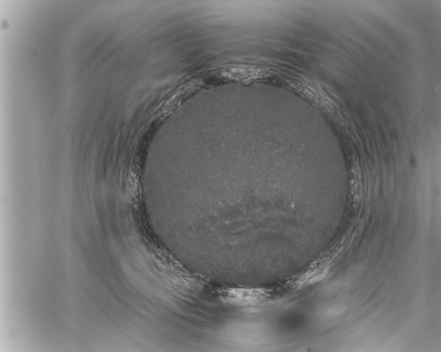 X0000060260371200511010919