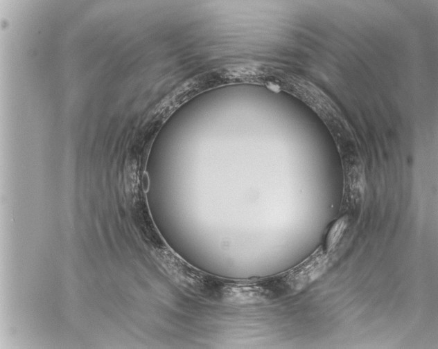 X0000060260372200511010919