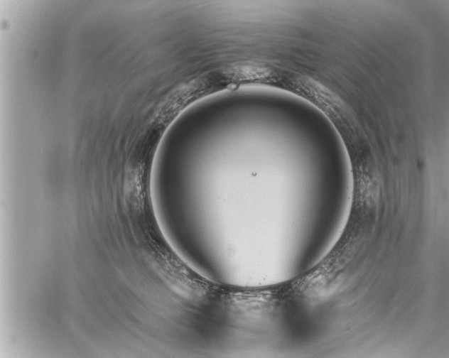 X0000060260373200511010919