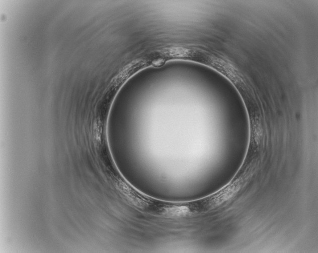 X0000060260374200511010919