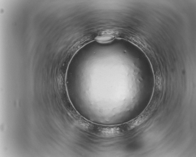 X0000060260375200511010919