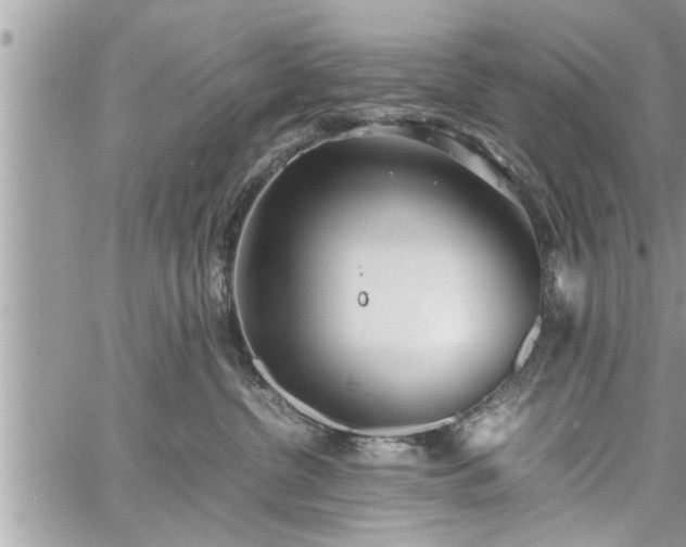 X0000060260380200511010919