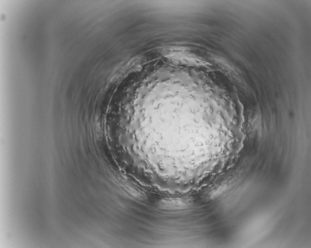 X0000060260381200511010919