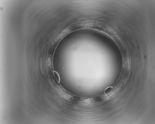 X0000060260382200511010919