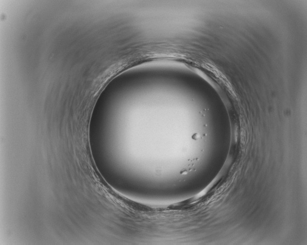 X0000060260385200511010918