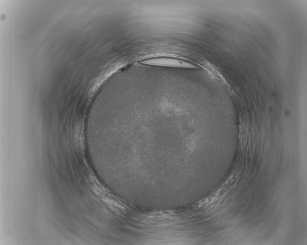 X0000060260386200511010918