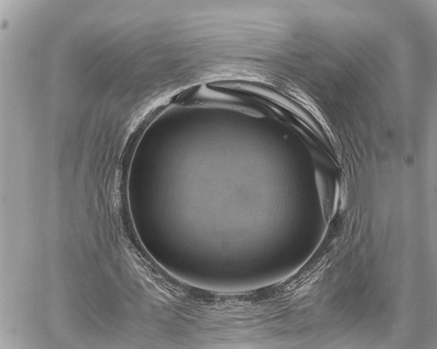 X0000060260387200511010918