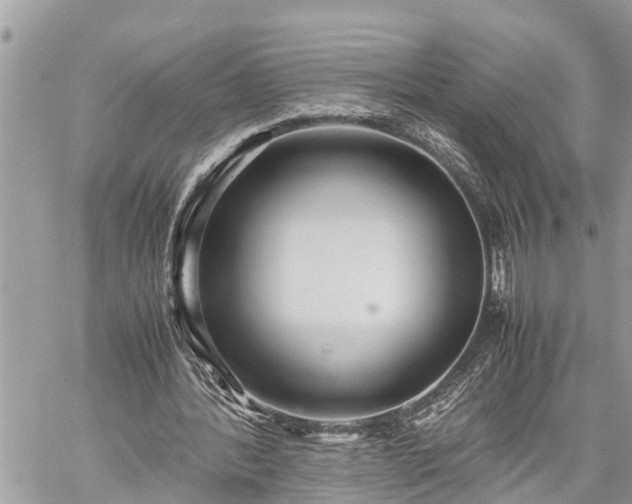 X0000060260388200511010918