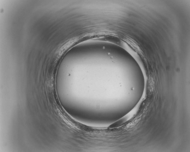 X0000060260389200511010918