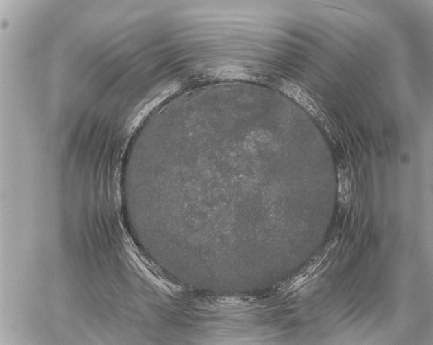 X0000060260390200511010918