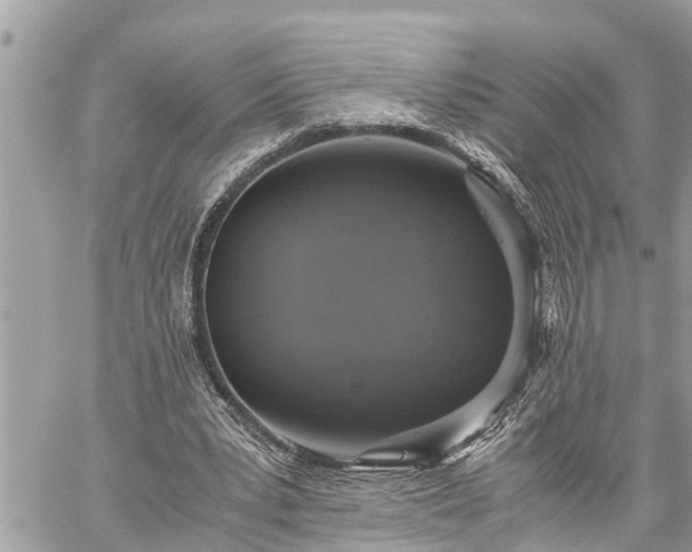 X0000060260391200511010918