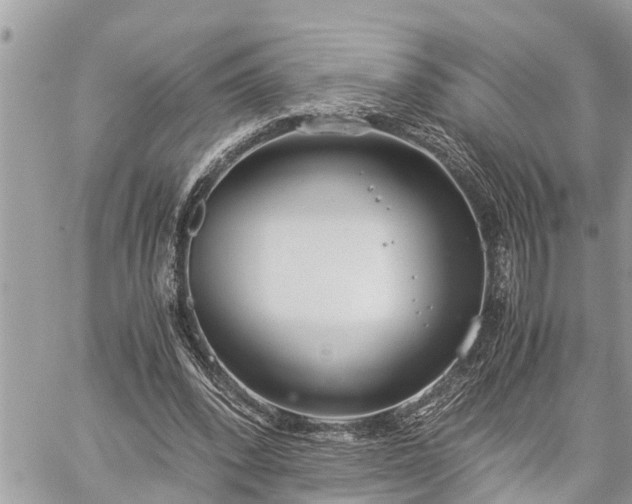 X0000060260392200511010918