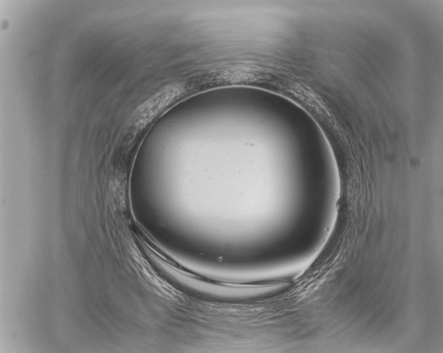 X0000060260393200511010918