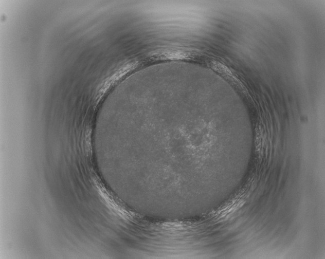 X0000060260394200511010918