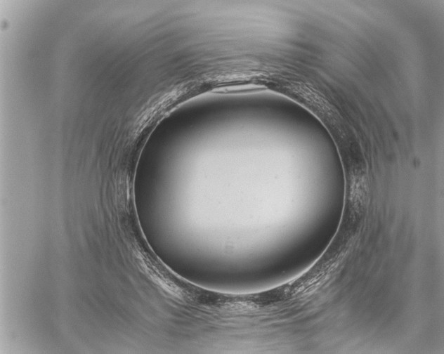 X0000060260397200511010918