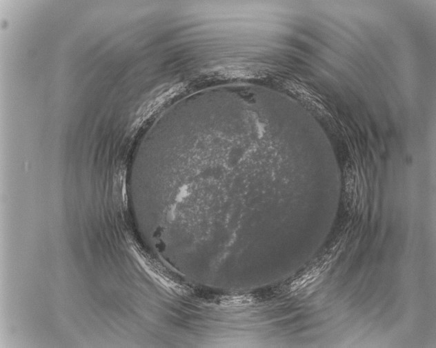 X0000060260398200511010918