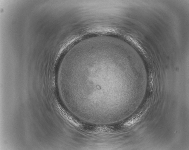 X0000060260399200511010918