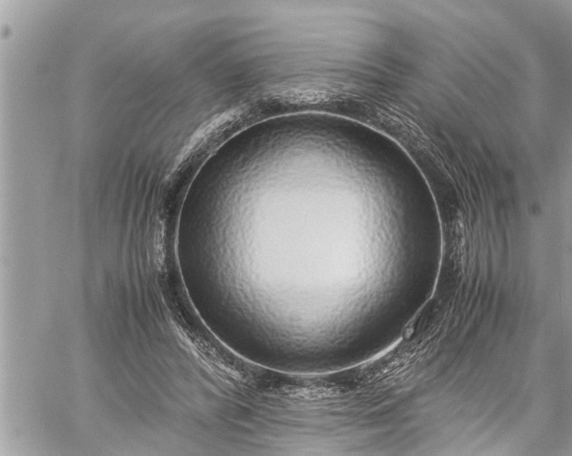 X0000060260400200511010918