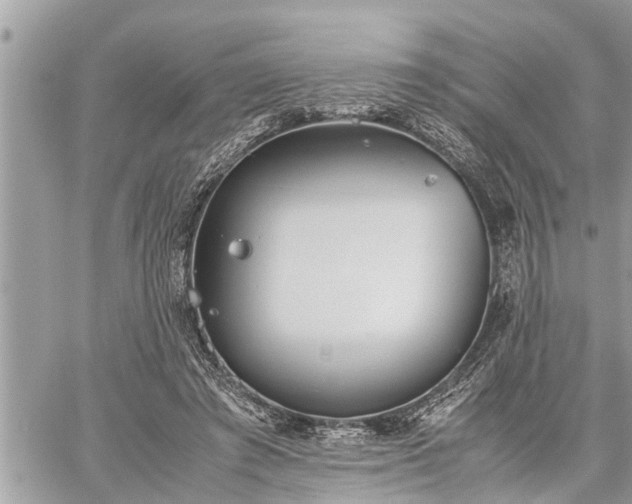 X0000060260401200511010918