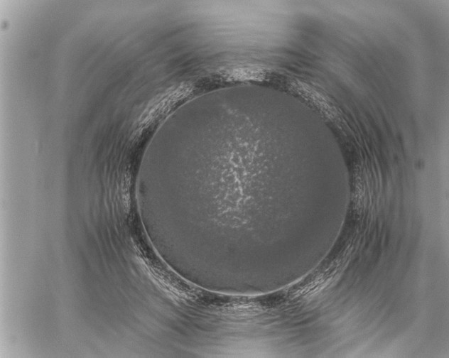 X0000060260402200511010918