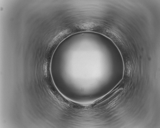 X0000060260404200511010918