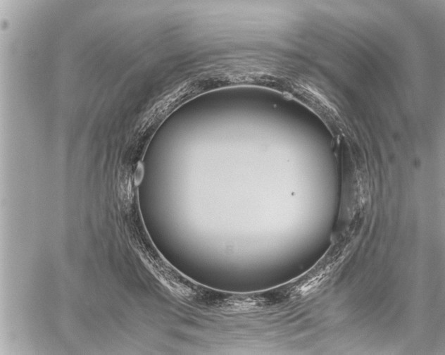 X0000060260405200511010918