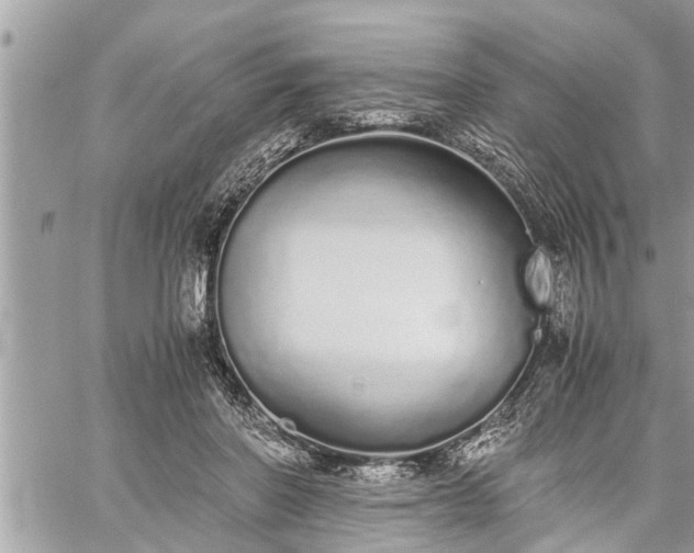 X0000060260406200511010918