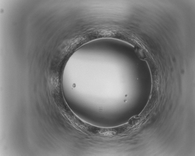 X0000060260407200511010918