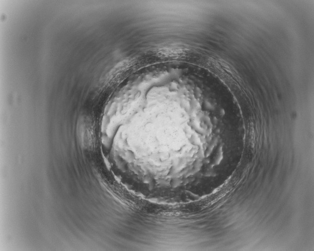 X0000060260408200511010918