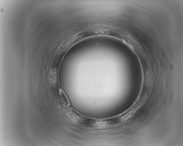 X0000060260413200511010918