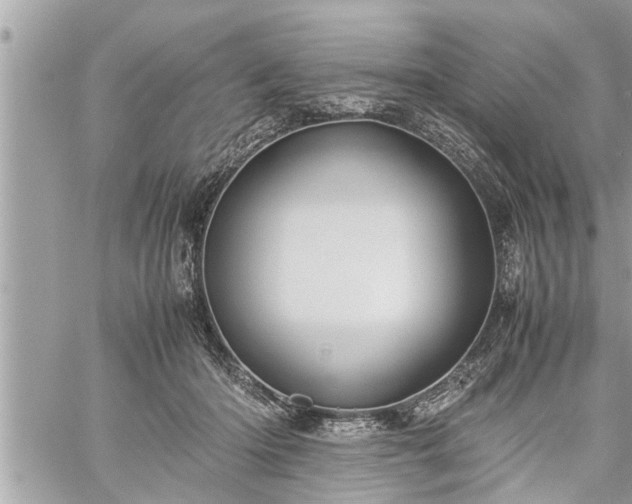 X0000060260414200511010918