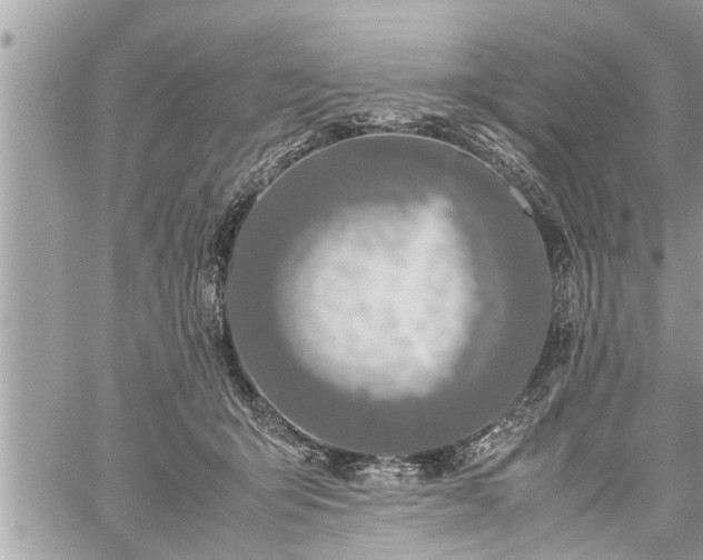 X0000060260415200511010918