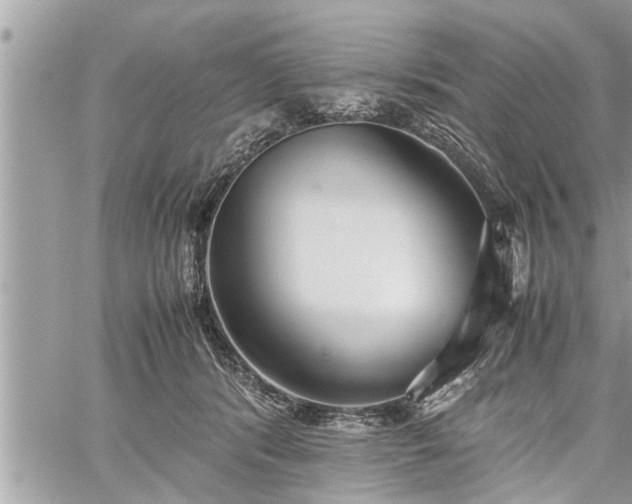 X0000060260416200511010918