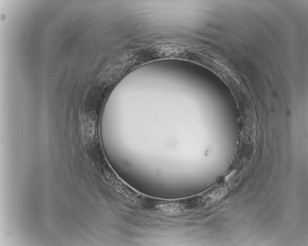 X0000060260417200511010918