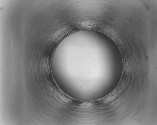 X0000060260418200511010918