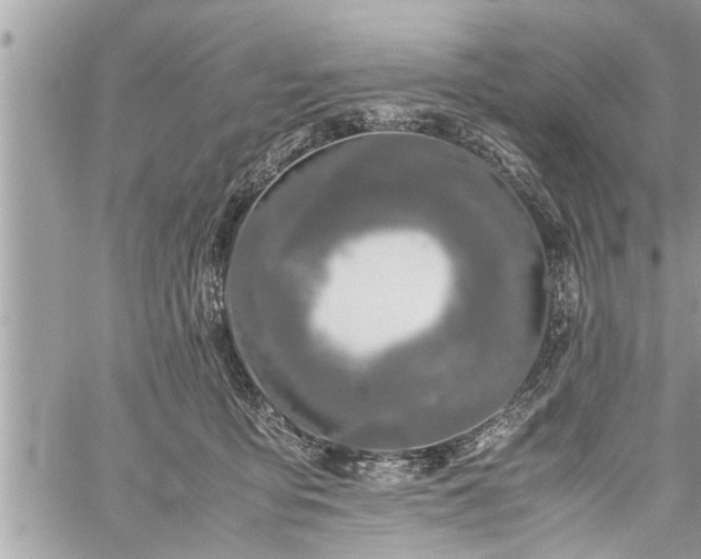 X0000060260419200511010918