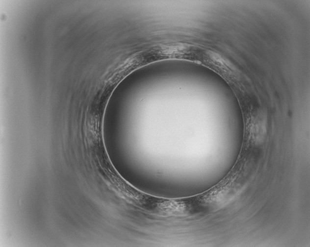 X0000060260421200511010918