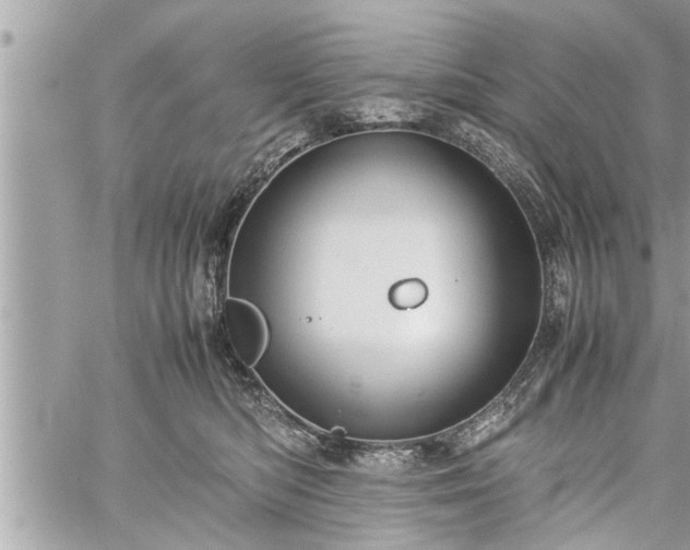 X0000060260422200511010918