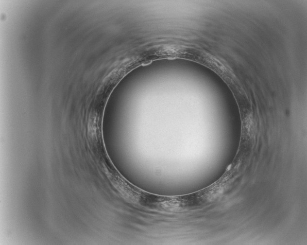 X0000060260423200511010918